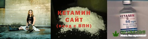 СК Алексин