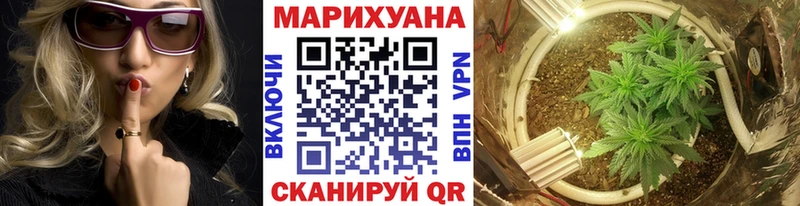 Канабис White Widow Динская